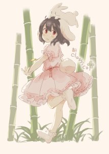 Rating: Safe Score: 0 Tags: inaba_tewi 因幡てゐ rabbit brown_hair red_eyes のい User: tvkdm